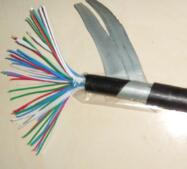 PTYA22，PTY22，PTYV信號電纜