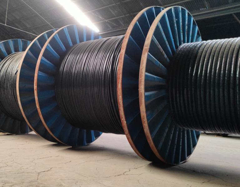 16665825827487.jpg 電纜.jpg